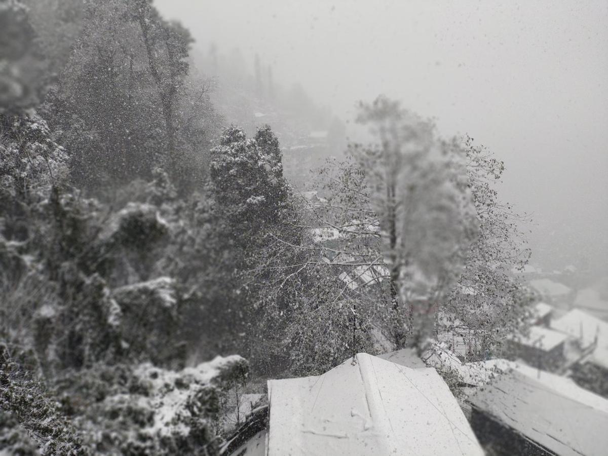 Fraternity Homestay Darjeeling  Exteriör bild